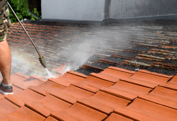 Best Roof Pressure Washing  in Makakilo, HI
